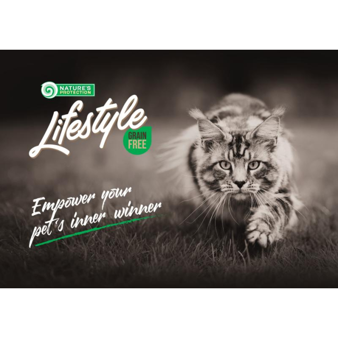 Kitten formula south africa shop